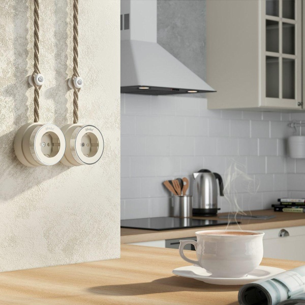 Розетка с заземлением Werkel Vintage слоновая кость матовый/хром W5871055 4690389174742 Розетка с заземлением Werkel Vintage слоновая кость матовый/хром W5871055 4690389174742