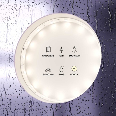 Светодиодная лента Standard Maytoni Led Strip 10106
