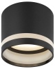Настенно-потолочный светильник ЭРА Taurus OL60 BK Б0066822