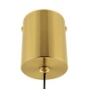 Подвесной светильник Citilux Nort CL475021