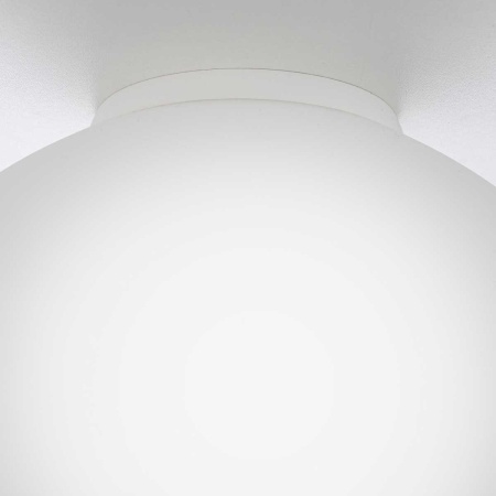 Светильник потолочный Citilux RON CL941D25B0