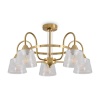 Потолочная люстра Freya Карамель / Caramel FR5522PL-05BS1