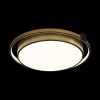 Потолочный светодиодный светильник Loft IT Mike 10170