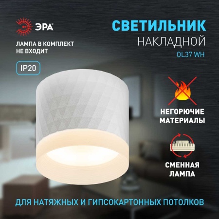 Настенно-потолочный светильник ЭРА OL37 WH Б0056385