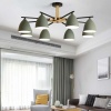 Потолочная люстра Imperium Loft Noa 8 Mint 183468-26