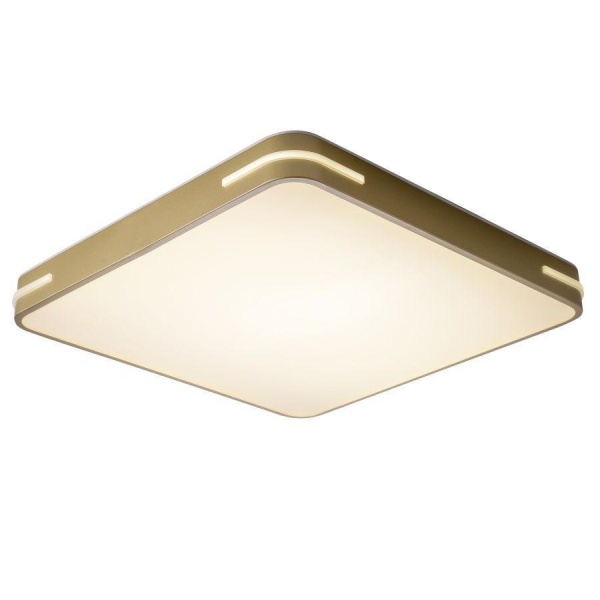 Потолочный светодиодный светильник Zortes Gabby ZRS.1215.04 Потолочный светодиодный светильник Zortes Gabby ZRS.1215.04