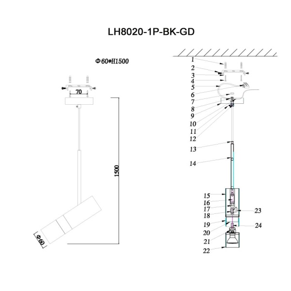 Подвесной светильник Lumien Hall Саурис LH8020/1P-BK-GD