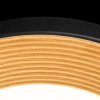 Потолочный светильник Loft IT Folk 10255/500 Black