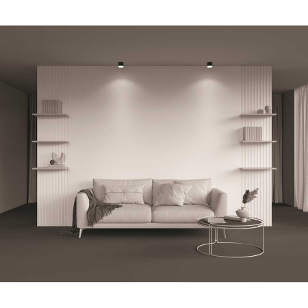 Потолочный светильник Maytoni Technical Pauline C087CL-GX53-B