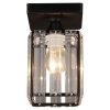 Потолочный светильник Seven Fires Netta WD3519/1C-BK-CL