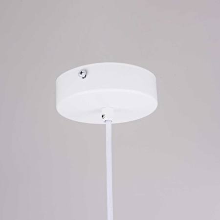 Подвесной светильник Imperium Loft Sota 178033-26