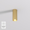 Потолочный светодиодный светильник Denkirs Shine Tube DK2615-SB