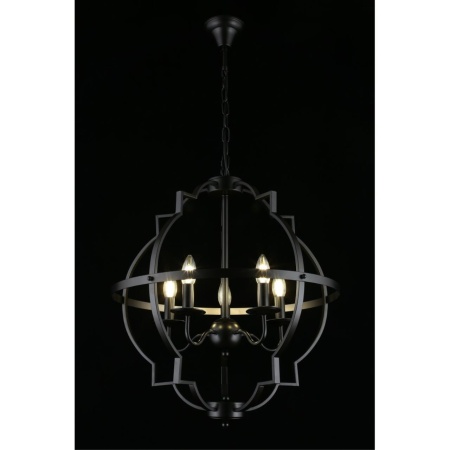 Подвесная люстра Aployt Sharlotta APL.664.13.05