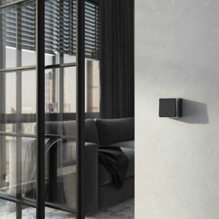 W5010034/ Выключатель одноклавишный Gallant (черный с серебром)