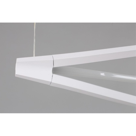 Подвесной светодиодный светильник Aployt Manon APL.783.03.45