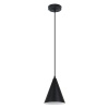 Подвесной светильник Arte Lamp Lark A7074SP-1BK
