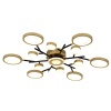 Потолочный светодиодный светильник F-Promo Hybrid 4686-13C