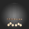 Подвесной светильник Evoluce Bagetti SL1142.403.06
