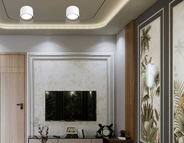 Светильник накладной Ambrella Light TN5303 Светильник накладной Ambrella Light TN5303
