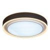 Потолочный светодиодный светильник iLedex Summery B6233-91W/520 WH