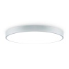 Потолочный светильник Freya Сприда / Sprida FR6129CL-L80GR