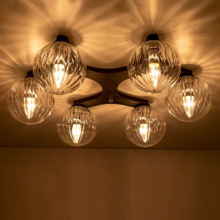 Потолочная люстра Citilux Коптер CL116161