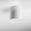 Накладной светодиодный светильник Lightstar Acuto 215886