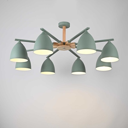 Потолочная люстра Imperium Loft Noa 8 Mint 183468-26