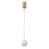 Подвесной светодиодный светильник Crystal Lux Caro SP Led White
