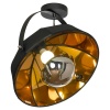 Потолочный светильник Lussole Lgo Klamath LSP-0556-C Потолочный светильник Lussole Lgo Klamath LSP-0556-C