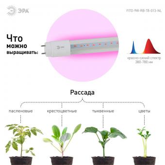 Лампа светодиодная для растений ЭРА G13 9W 1200K прозрачная XGYT8B102-E9 RW
