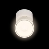 Спот Loft IT Focus 10323/A White