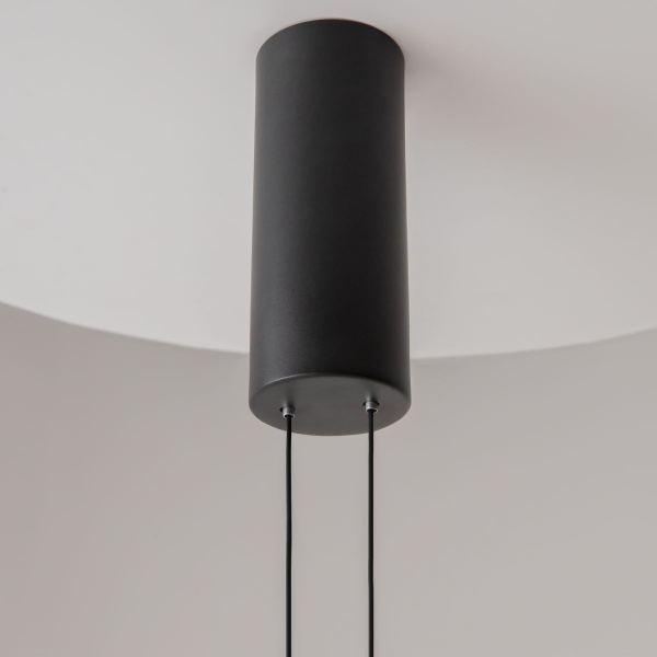 Подвесной светодиодный светильник Maytoni Modern Evolution MOD396PL-L10BL3K