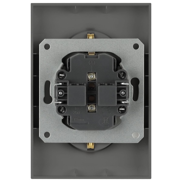 Розетка ЭРА Arktik 16-2105-06 двойная с заземлением 2X2P+E Schuko со шторками 16А-250В графит Б0070459