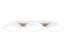 Светильник потолочный Ambrella light COMFORT FL4877