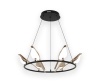 Подвесная светодиодная люстра Kink Light Арси 08446-6A,33