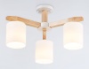 Потолочная люстра Ambrella light Traditional Loft TR83112