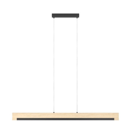 Подвесной светодиодный светильник Eglo Camacho 901737