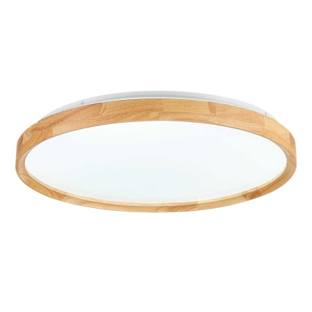 Потолочный сетодиодный светильник Evoluce Delia SLE201382-01