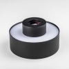 Светильник накладной Lightstar Acuto 215947