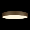 Потолочный светодиодный светильник Loft IT Flims 10228/A