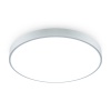 Потолочный светильник Freya Сприда / Sprida FR6129CL-L80GR