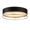 Потолочный светильник ST Luce Chodo SL1127.432.05