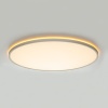 Потолочный светодиодный светильник Citilux Norma CL749600