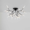 Потолочный светильник Freya Iris FR5067CL-27B