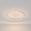 Потолочный светильник Maytoni Rim MOD058CL-L50W3K