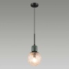 Подвесной светильник Odeon Light Greeni 5026/1
