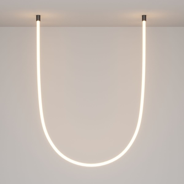 Крепление потолочное Maytoni (2 шт) LNM-D25-2CS-B 20320 Крепление потолочное Maytoni (2 шт) LNM-D25-2CS-B 20320