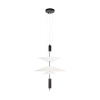 Подвесной светильник Loft IT Skylar 10244/B Black