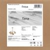 Подвесная люстра Freya Терра / Terra FR5260PL-04BS